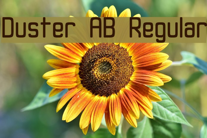 Duster AB Regular Font examples