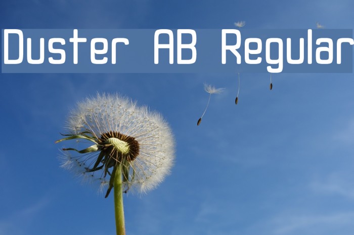 Duster AB Regular Font examples