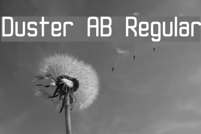 Duster AB Regular Example 2