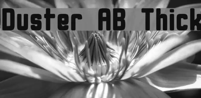 Duster AB Thick Font examples