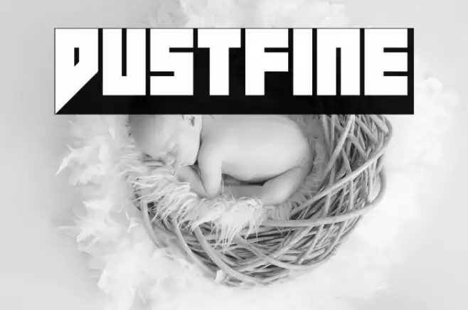 Dustfine Font examples