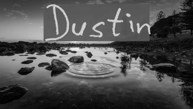 Dustin Example 2