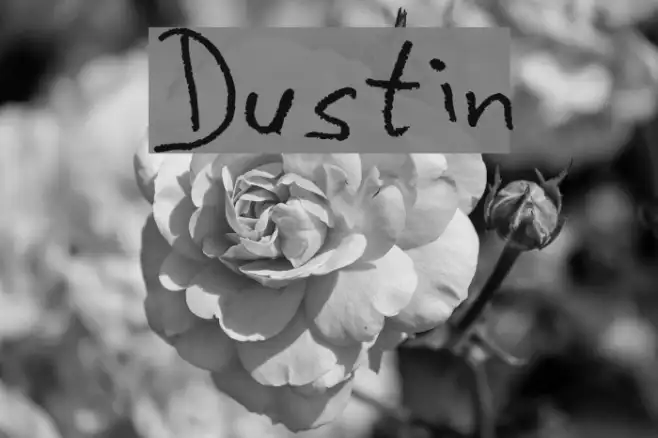 Dustin Example 3