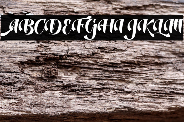 DustineScript Example 1