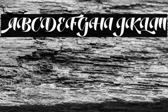 DustineScript Font examples