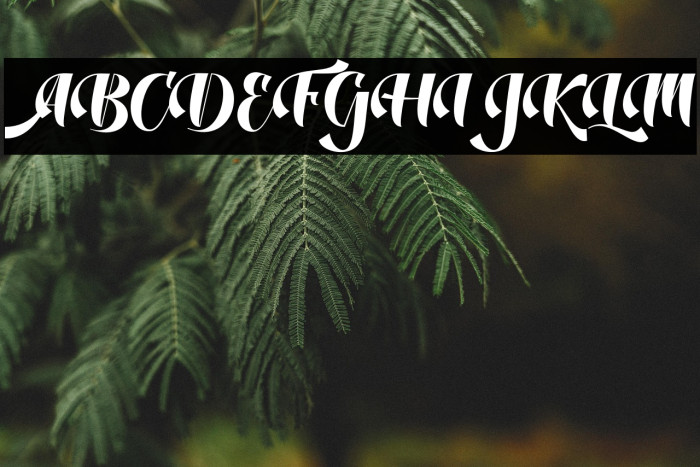 DustineScript Example 2