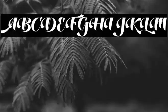 DustineScript Font examples