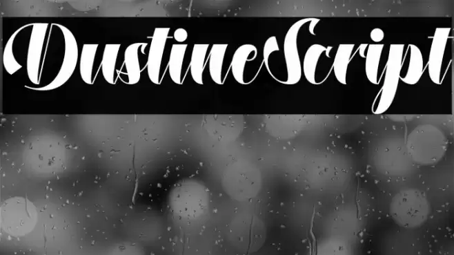DustineScript Font examples