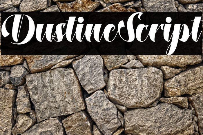 DustineScript Example 2