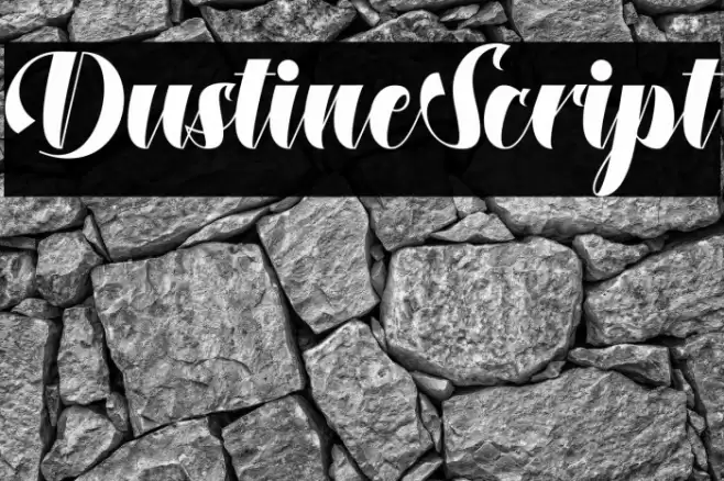 DustineScript Font examples