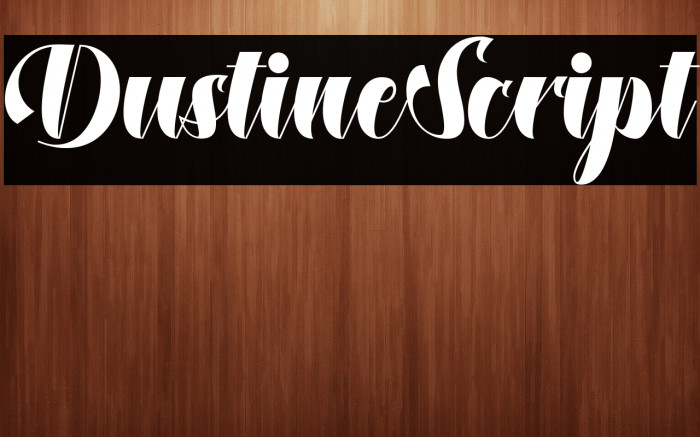 DustineScript Example 3