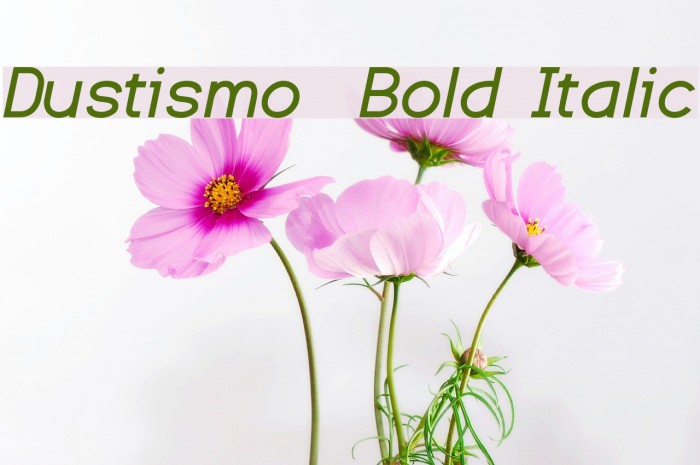 Dustismo Bold Italic Font examples