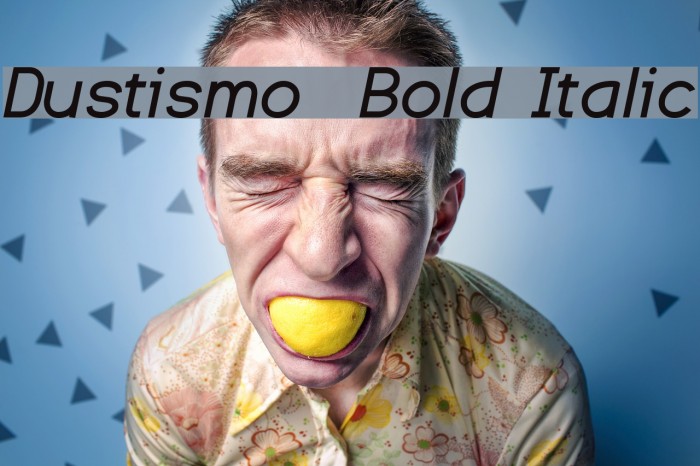 Dustismo Bold Italic Font examples
