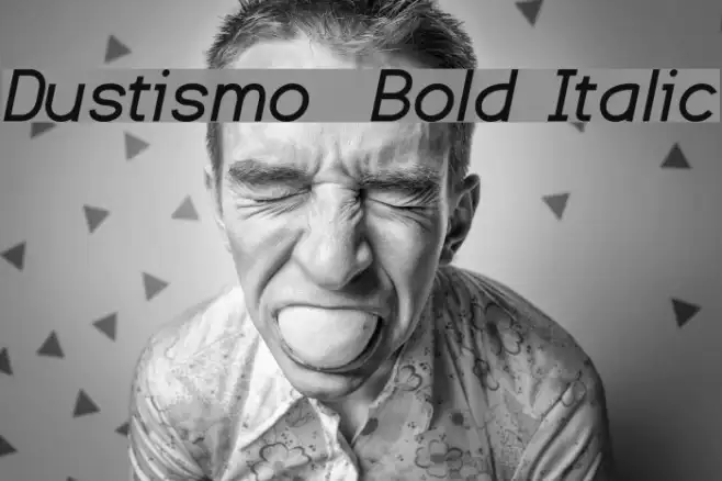 Dustismo  Bold Italic Example 2