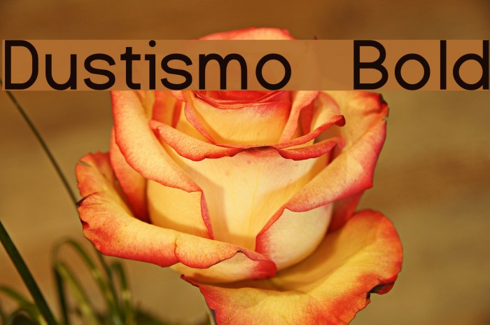 Dustismo Bold Font examples