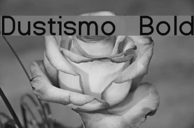 Dustismo  Bold Example 1