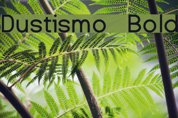 Dustismo Bold Font examples