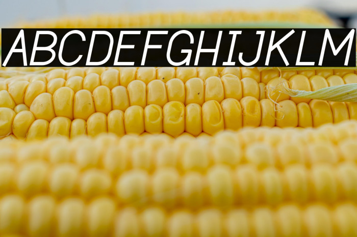 Dustismo  Italic Example 2