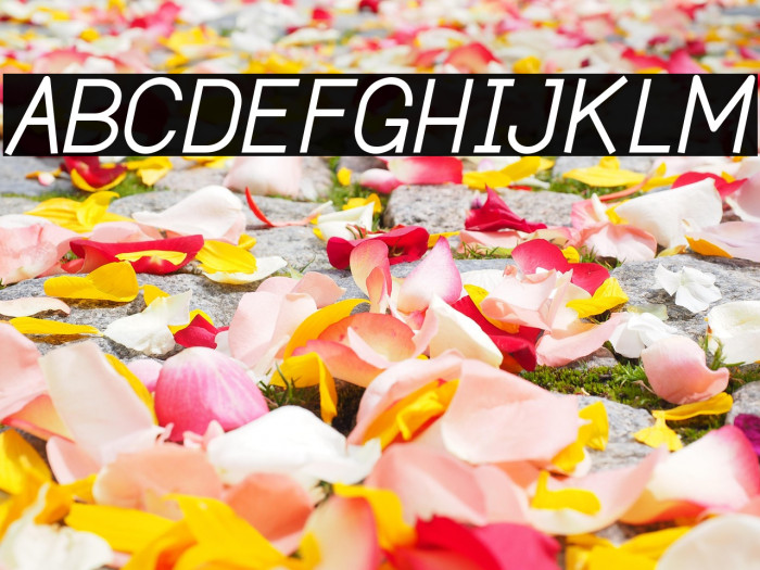 Dustismo  Italic Example 3