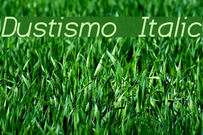 Dustismo Italic Font examples