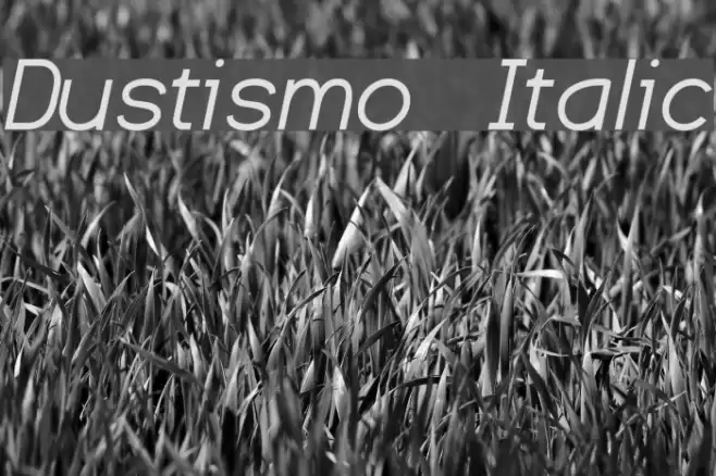 Dustismo  Italic Font examples