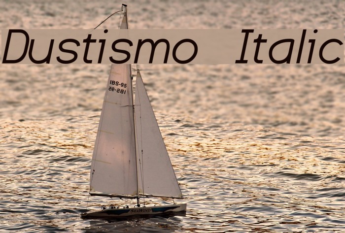 Dustismo Italic Font examples