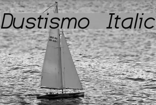 Dustismo  Italic Font examples