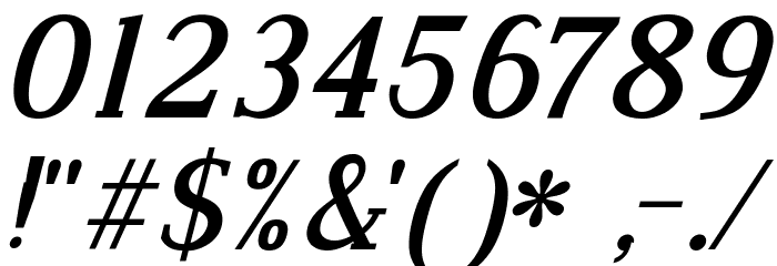 Dustismo Roman Bold Italic Font OTHER CHARS