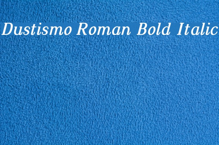 Dustismo Roman Bold Italic Font examples