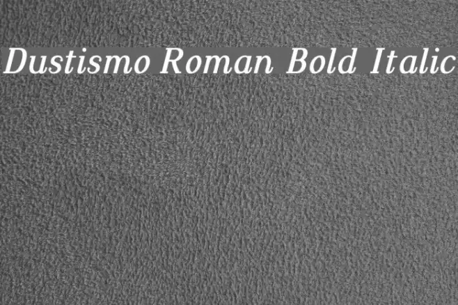 Dustismo Roman Bold Italic Example 1