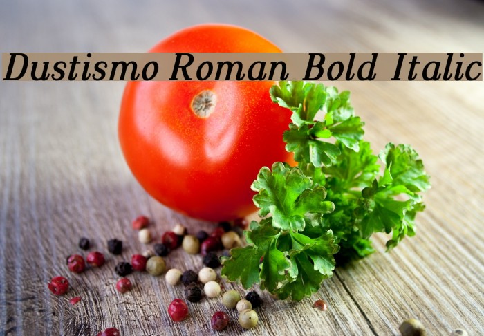Dustismo Roman Bold Italic Font examples