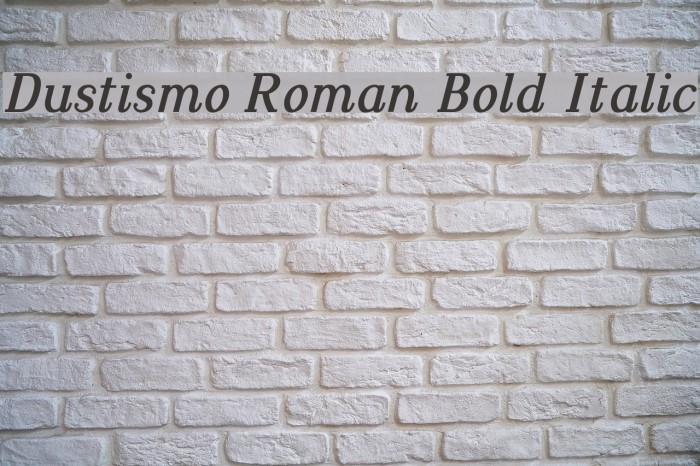 Dustismo Roman Bold Italic Font examples
