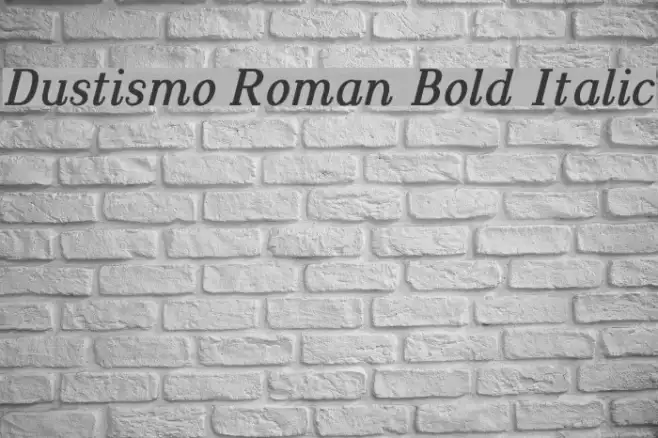 Dustismo Roman Bold Italic Example 3
