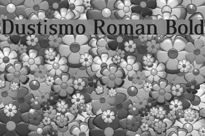 Dustismo Roman Bold Caratteri examples