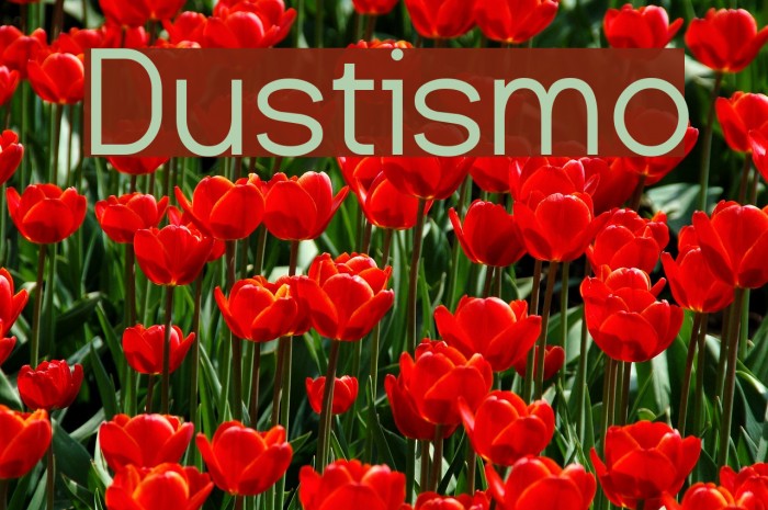 Dustismo Font examples