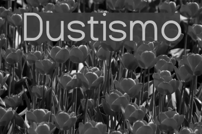Dustismo Example 3