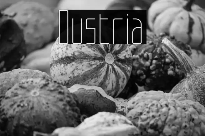 Dustria Example 1