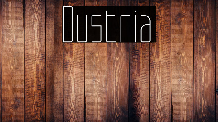 Dustria Example 2