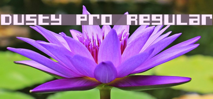 Dusty Pro Regular Font examples