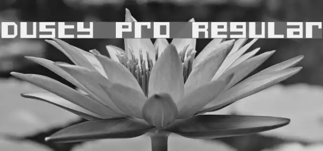 Dusty Pro Regular Example 2