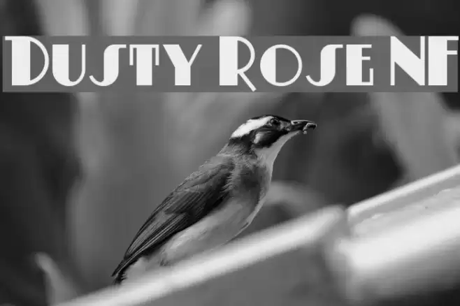 Dusty Rose NF Font examples
