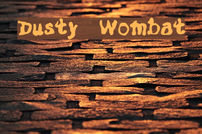 Dusty Wombat Font examples