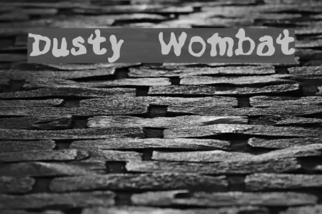 Dusty Wombat Example 1