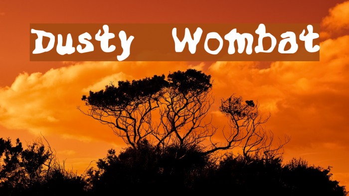 Dusty Wombat Font examples