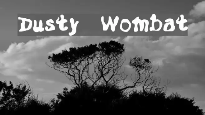 Dusty Wombat Example 3