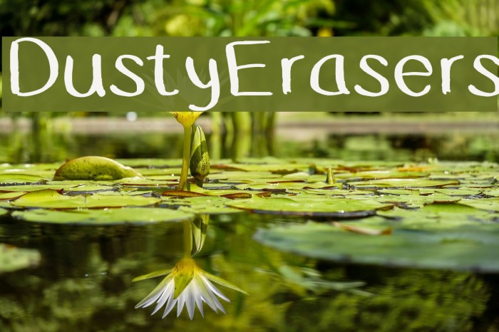 DustyErasers Example 3