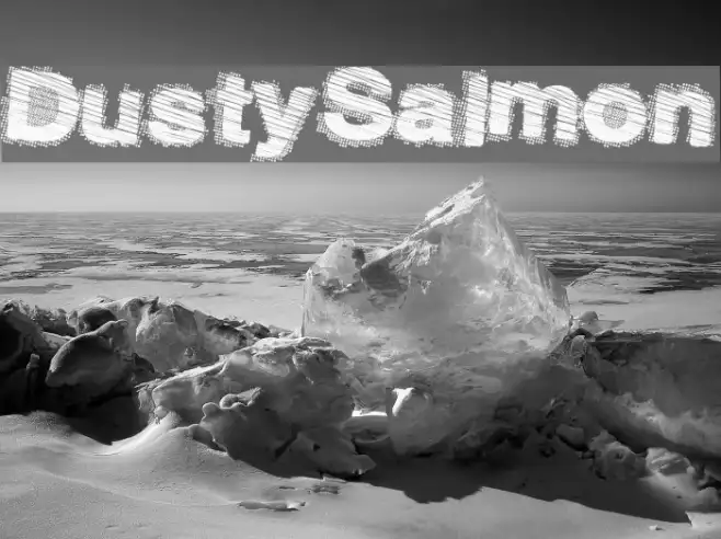 DustySalmon Example 3