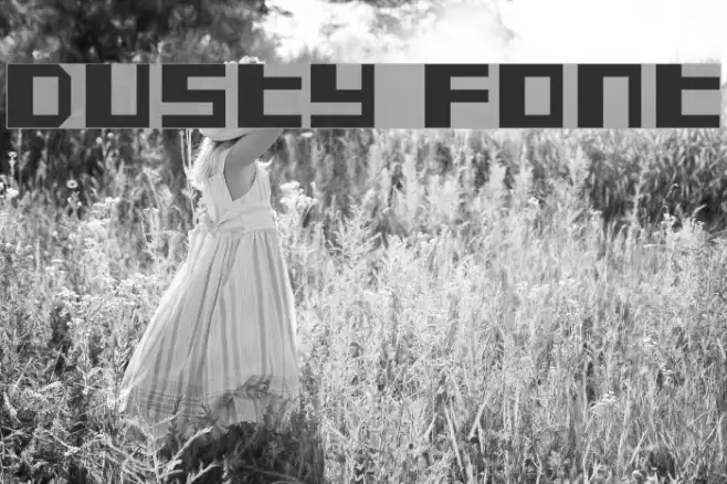Dusty Example 1