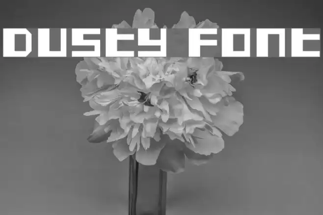 Dusty Example 3