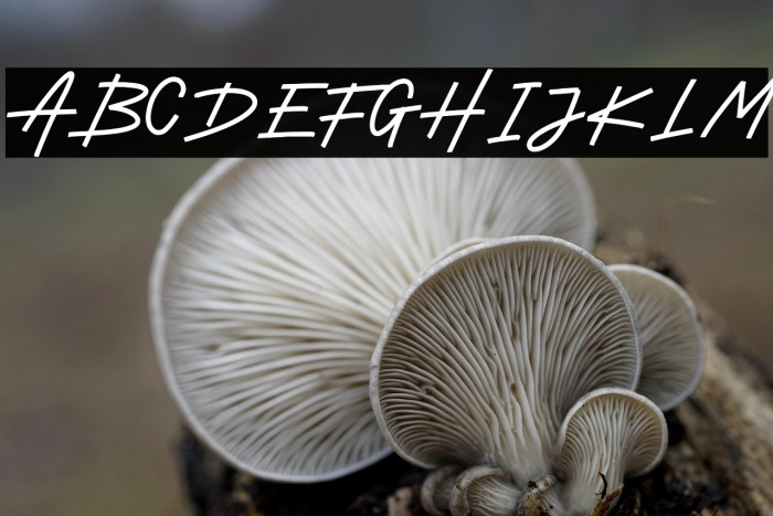 DustylandDemo Example 3